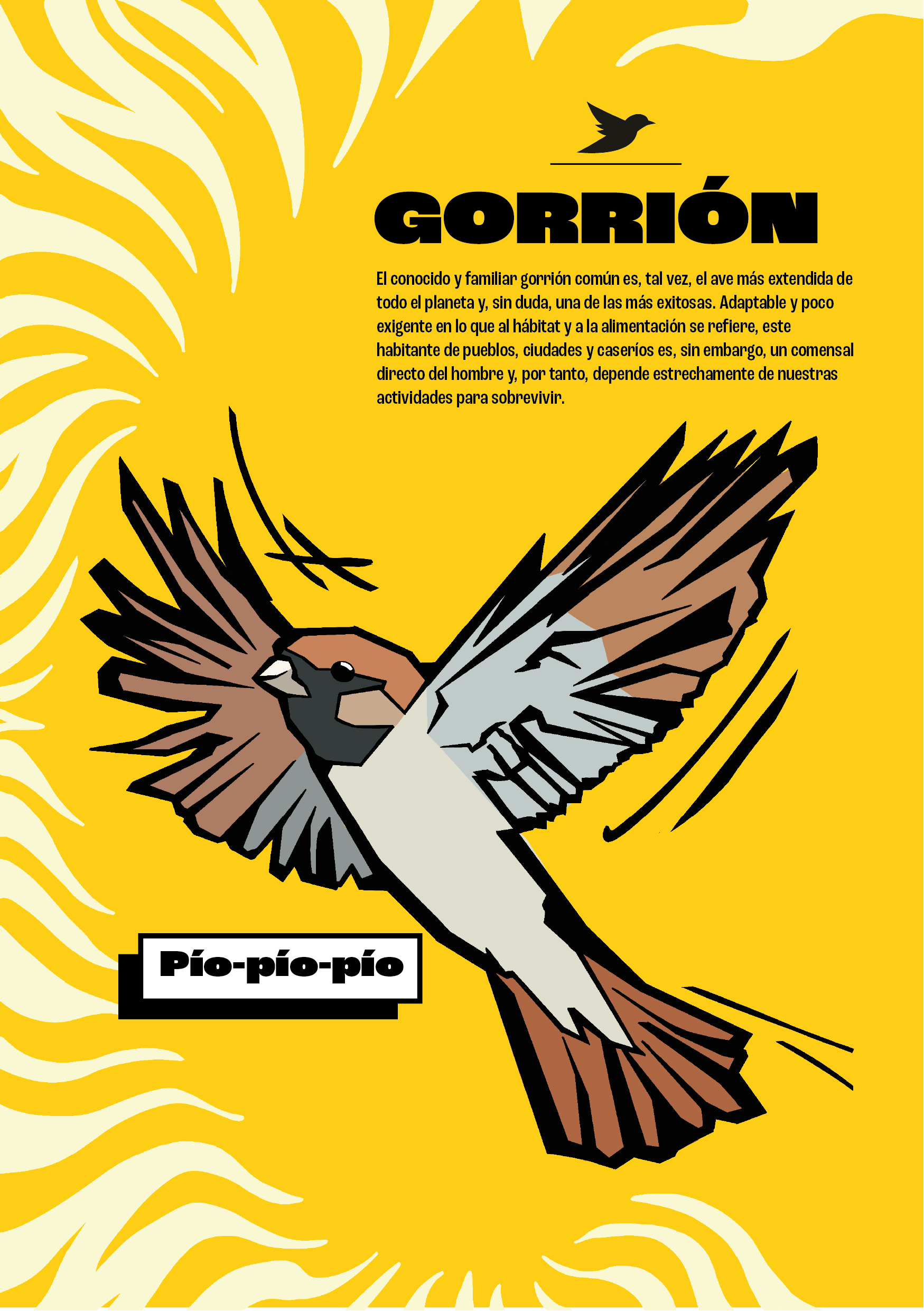 Ciencia_para_niños_ILUSTRACIONES_MARCOS_RODRIGUEZ_Mesa de trabajo 1-01